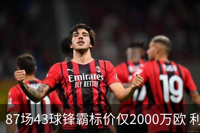 87场43球锋霸标价仅2000万欧 利兹联正加速今夏首签